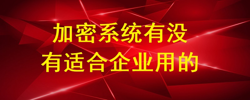 加密系統有沒有適合企業用的?